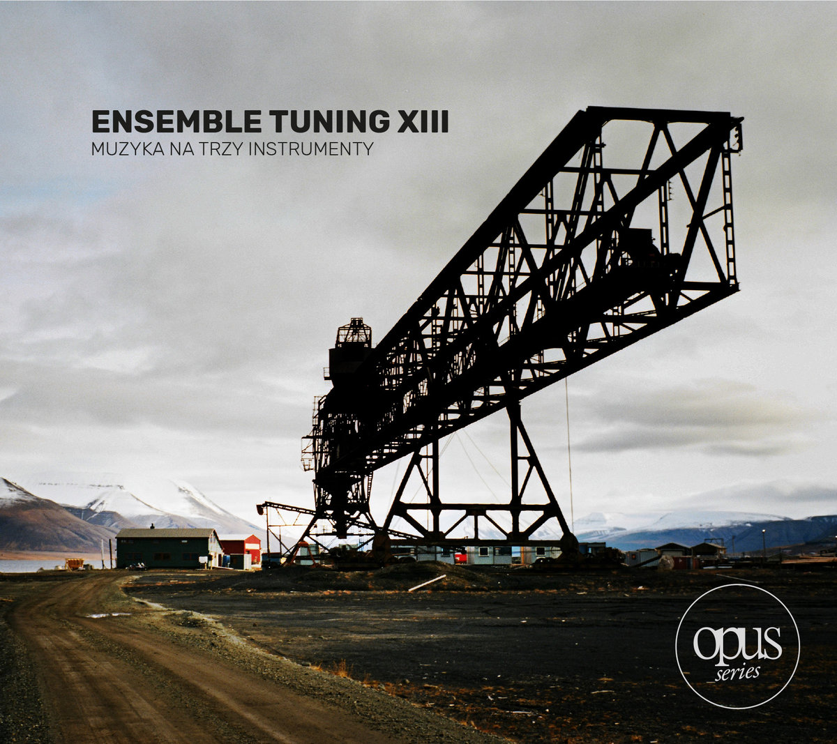 Ensemble Tuning XIII.jpg